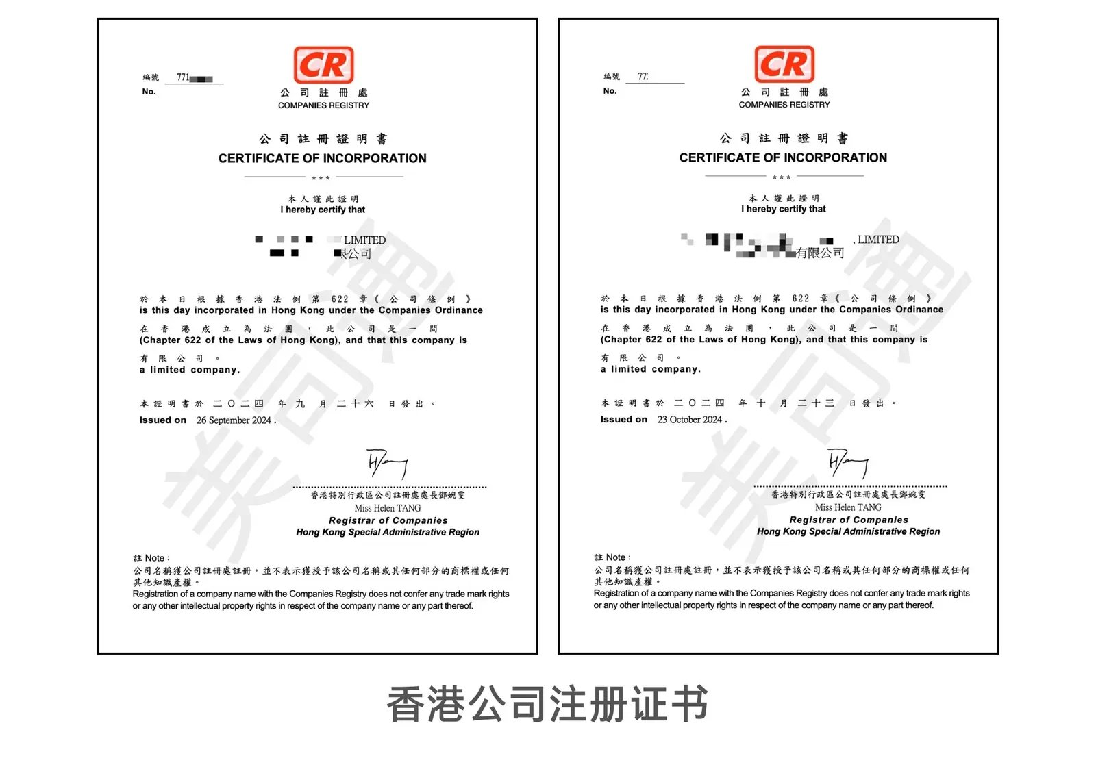 美司通交付的香港公司注册证书