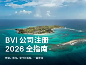 2026年BVI公司注册指南：优势、流程、费用、新政策与常见问题